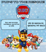 Paw Patrol